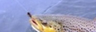 edantira's profile banner image