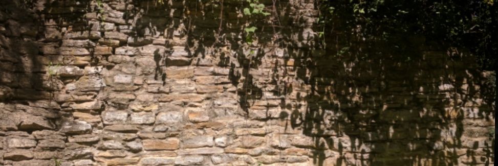 egononvaleo's profile banner image
