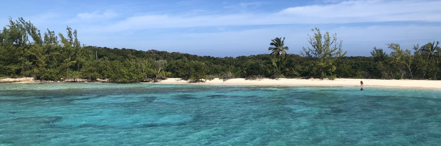 wontonimo_bay's profile banner image