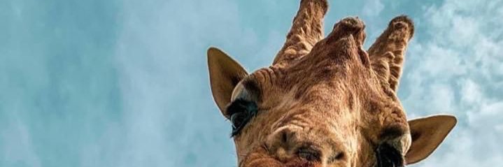 TalyCabreraN's profile banner image