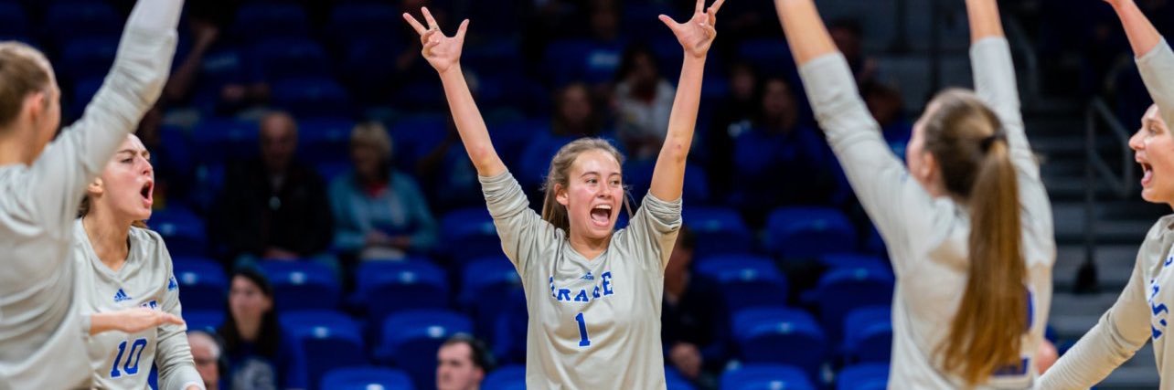 Addison Beagle banner