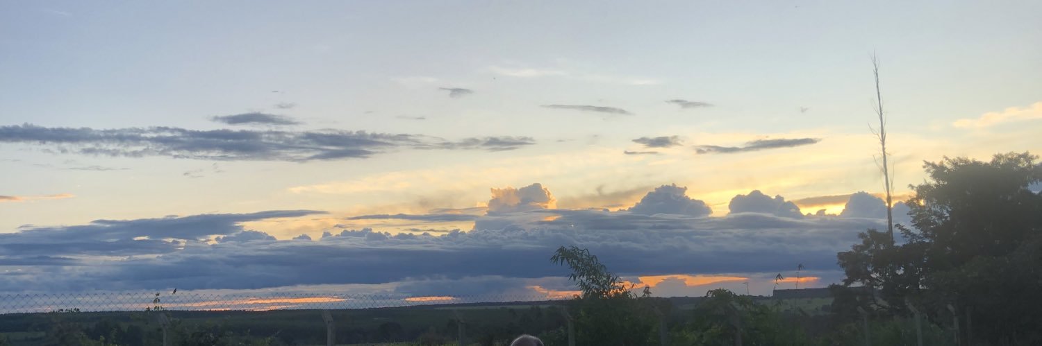 alefico's profile banner image