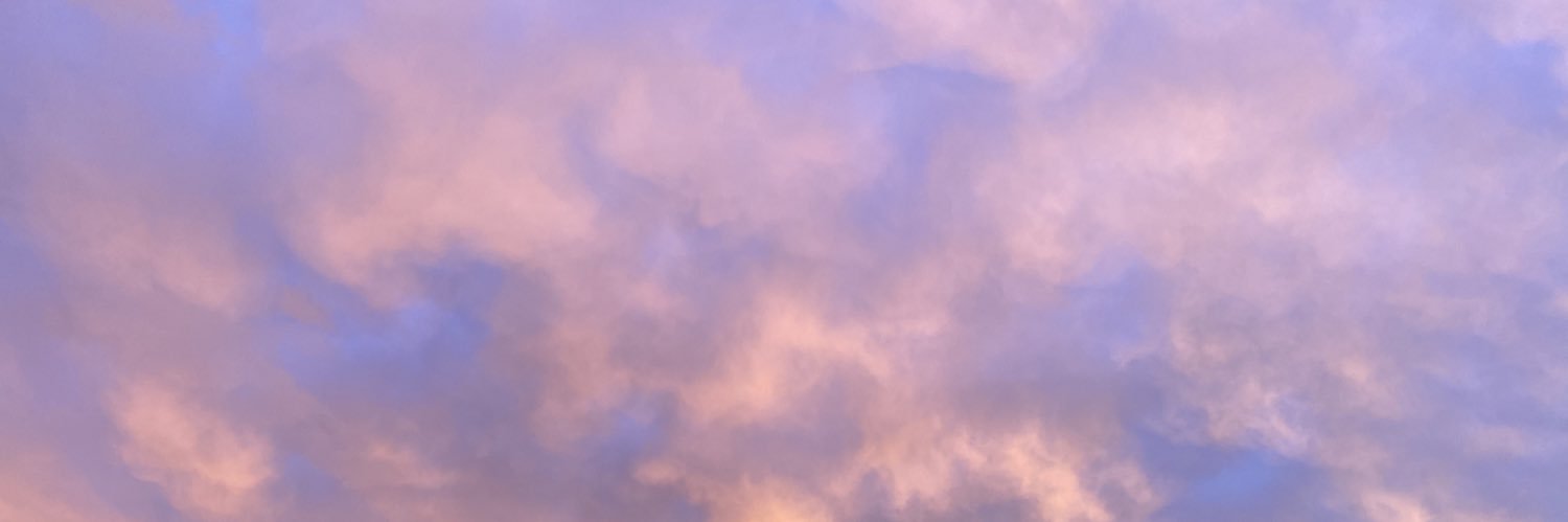 aisha_mann's profile banner image