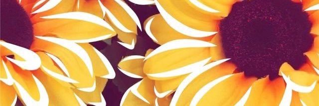 lexifaye3's profile banner image
