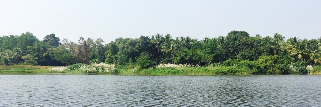 rajeshet's profile banner image