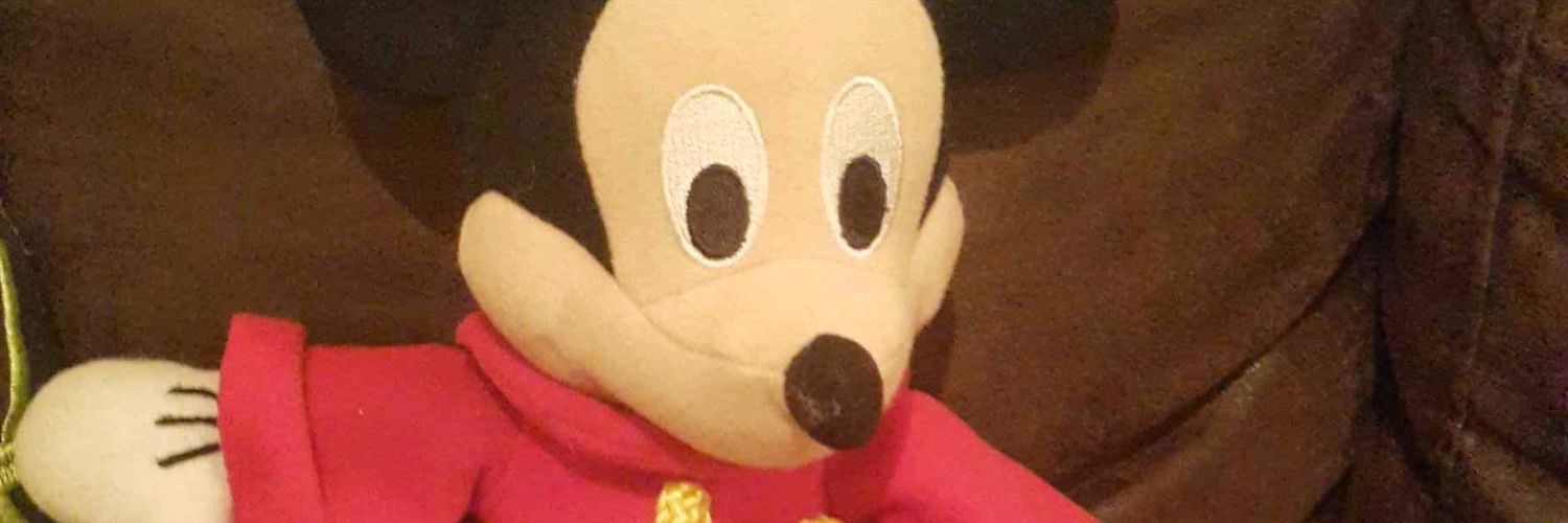 RamitosdeChile's profile banner image