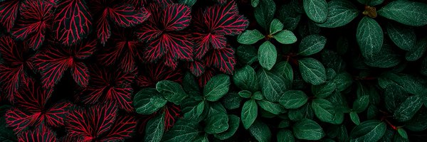 anoopar Profile Banner