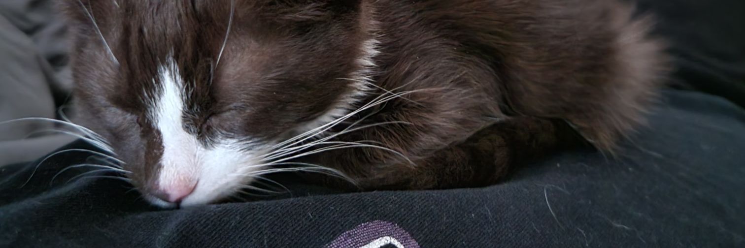 Comrade_Iron's profile banner image