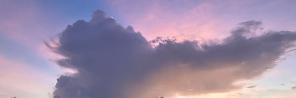 arianathetechie Profile Banner