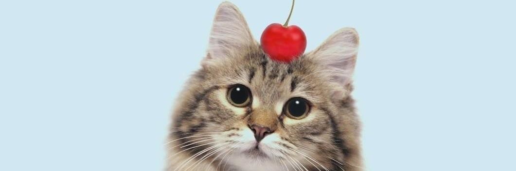 ggabrielgriffin's profile banner image