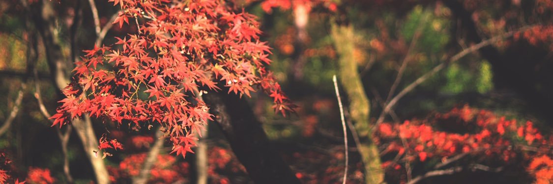 08matsu10's profile banner image