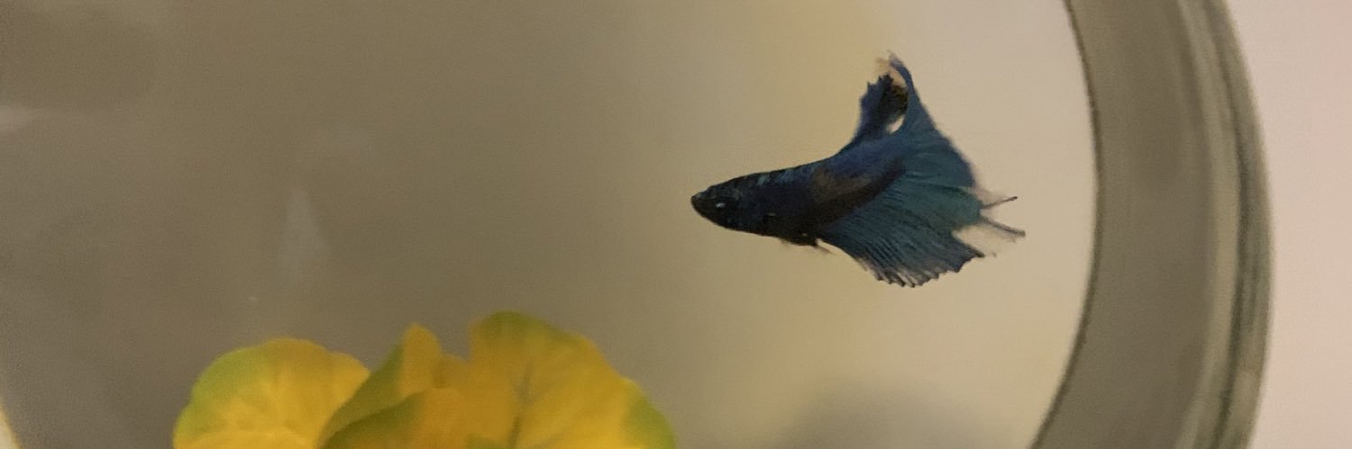 PhilipViolaa's profile banner image