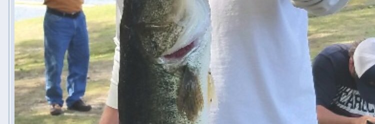 hleepearson's profile banner image