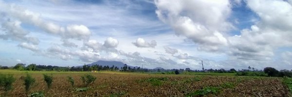 baaasheeeng Profile Banner