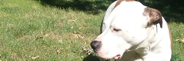 btum72 Profile Banner