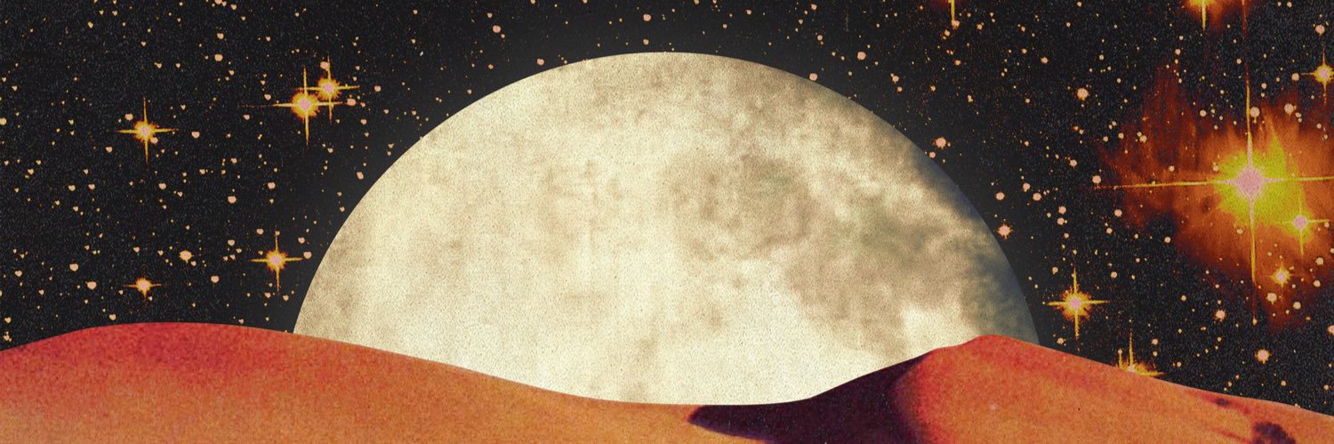 buzzy_bee__'s profile banner image