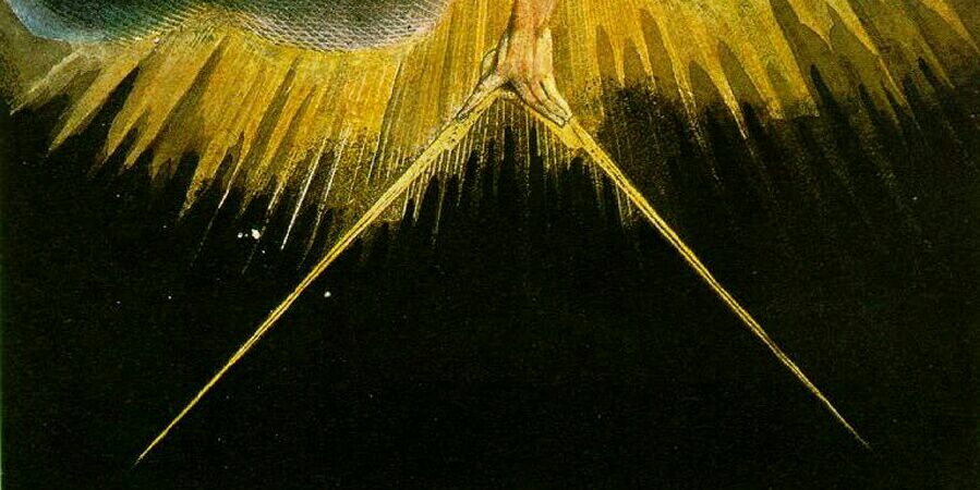Stephen Bradford Long banner