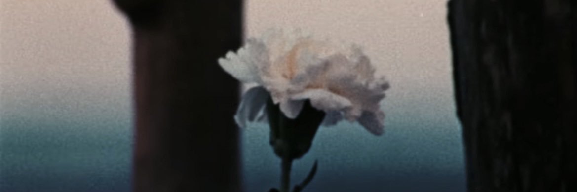 おもち 💔@ 高松3/11.12名古屋3/29新潟5/10 banner