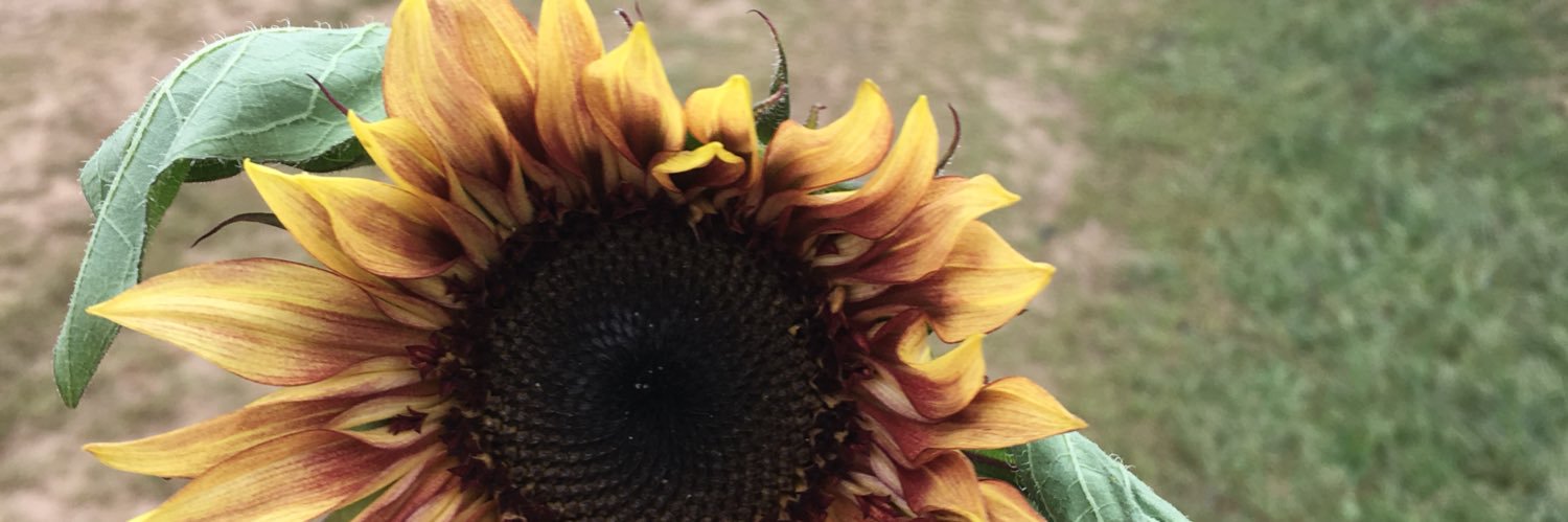 KylieRae12's profile banner image