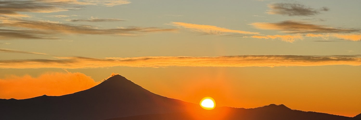 PittuiterPit's profile banner image
