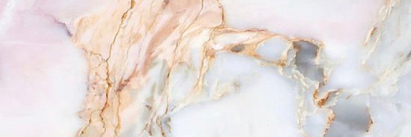 mlee_williams's profile banner image