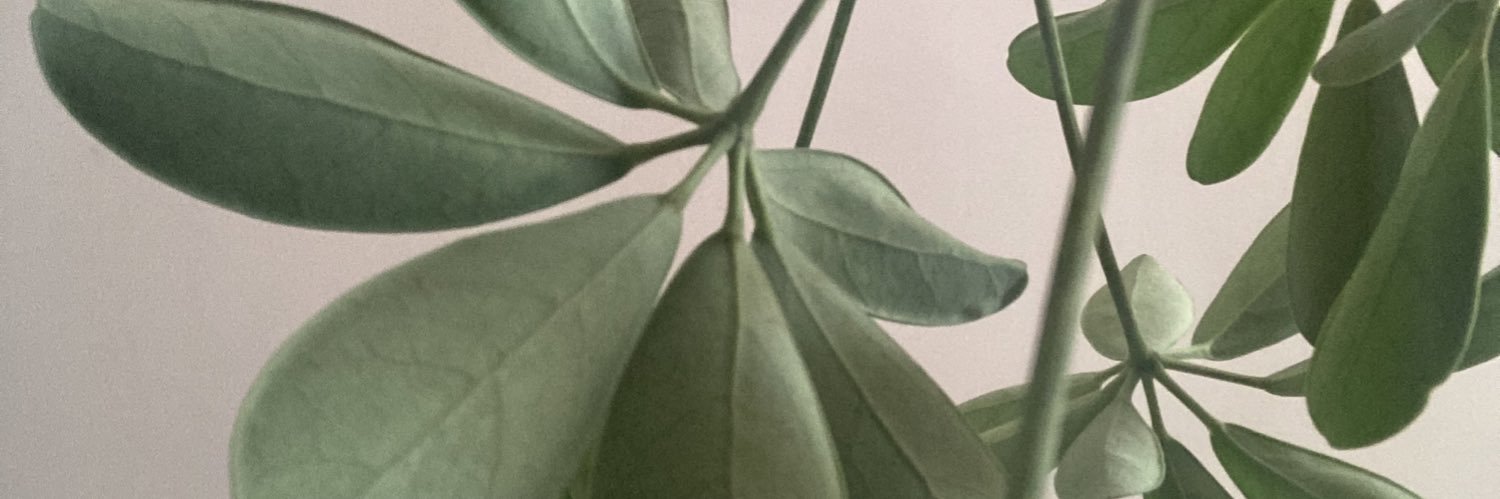 allideepaul's profile banner image