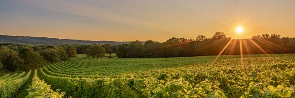 Roebuck_Estates Profile Banner