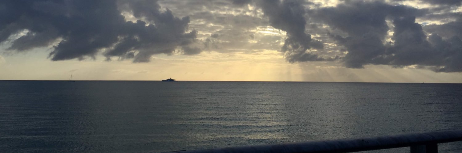 Carladlf's profile banner image
