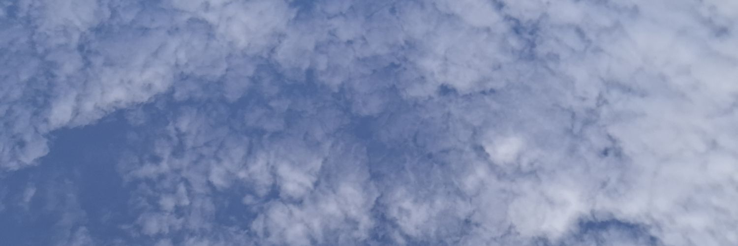 sho. banner