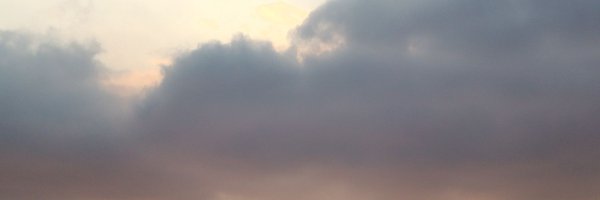 vangelerr Profile Banner
