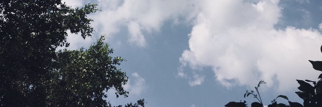 /// banner