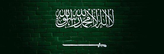 sαℓєн🇸🇦 banner