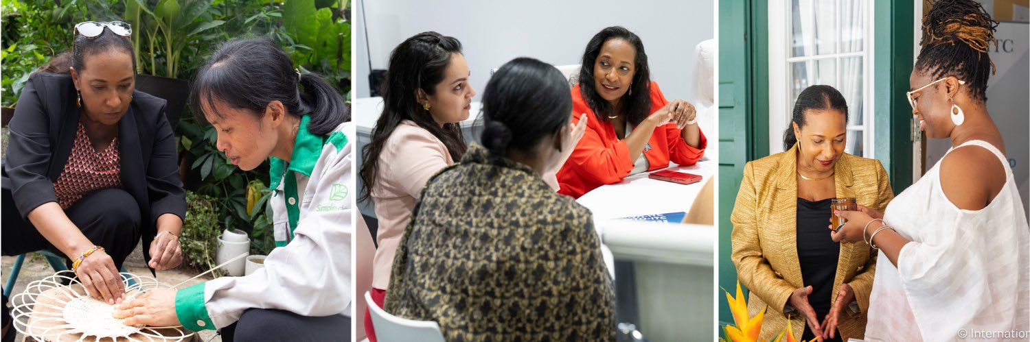 Pamela Coke-Hamilton banner