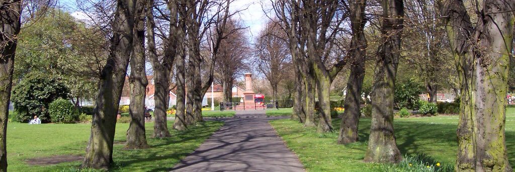 Gosforth Local banner