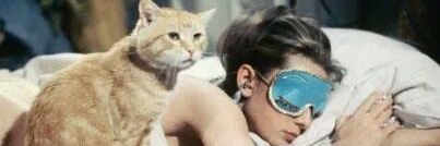 🐱Cat🐱 banner