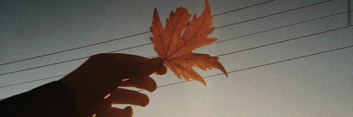erna_viani's profile banner image