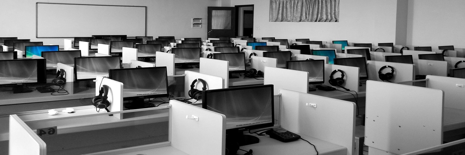 neoliberal life advice banner