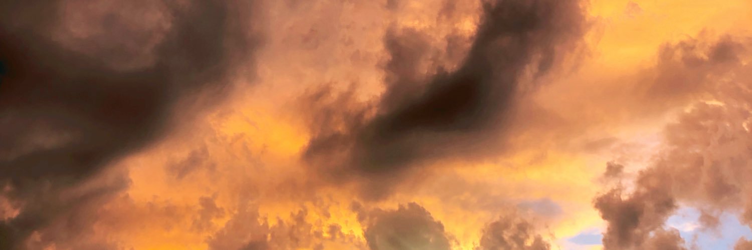 EmmaSyring's profile banner image