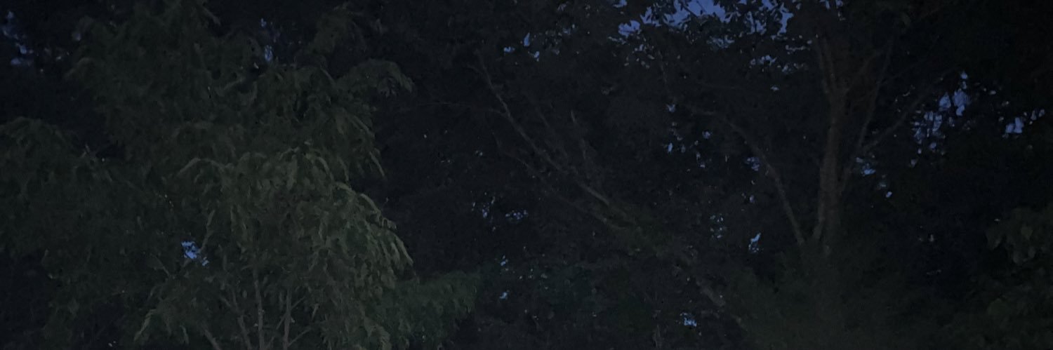 mohitt01p banner