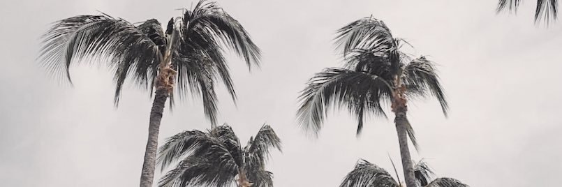 kiaradaley1's profile banner image