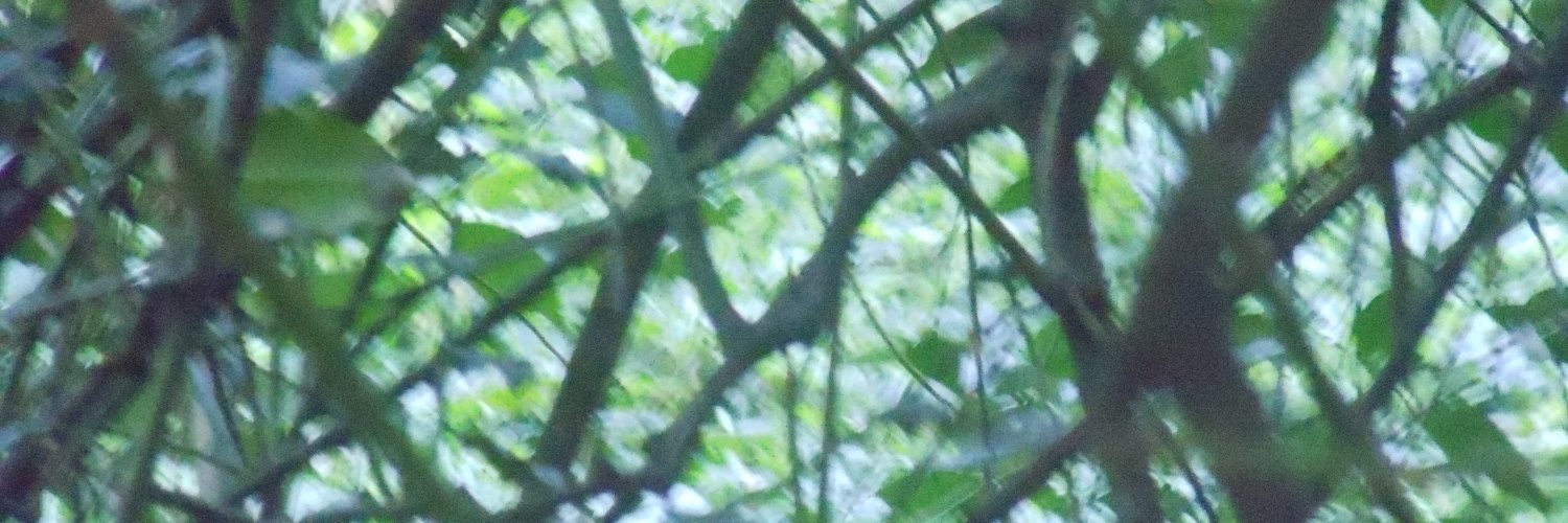 VictorStepien's profile banner image