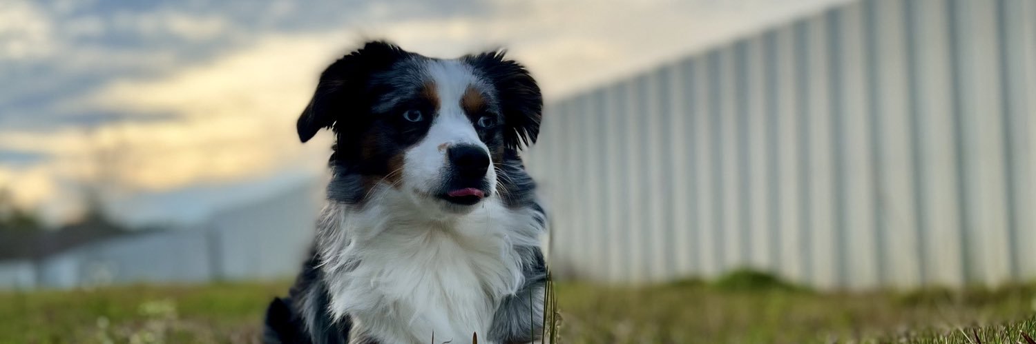 kaitlinnbailey's profile banner image