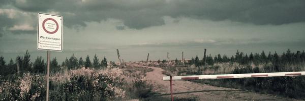 lab_wolf Profile Banner