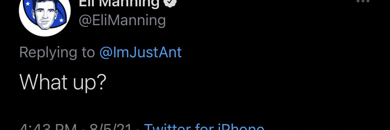 JustAnt banner