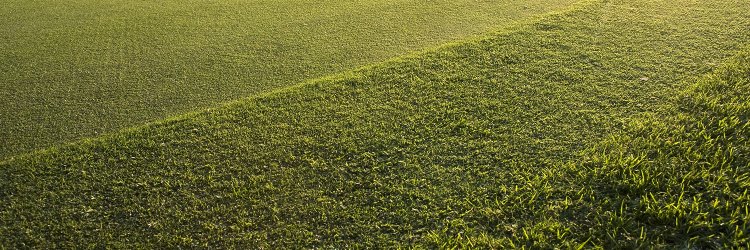 Bob Randquist banner