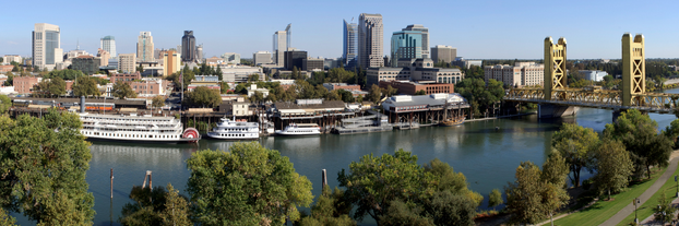 Joyce Terhaar banner