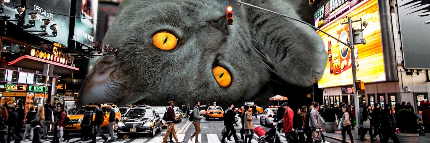 Matt McCarthy banner