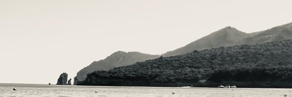 marisa_dcf's profile banner image