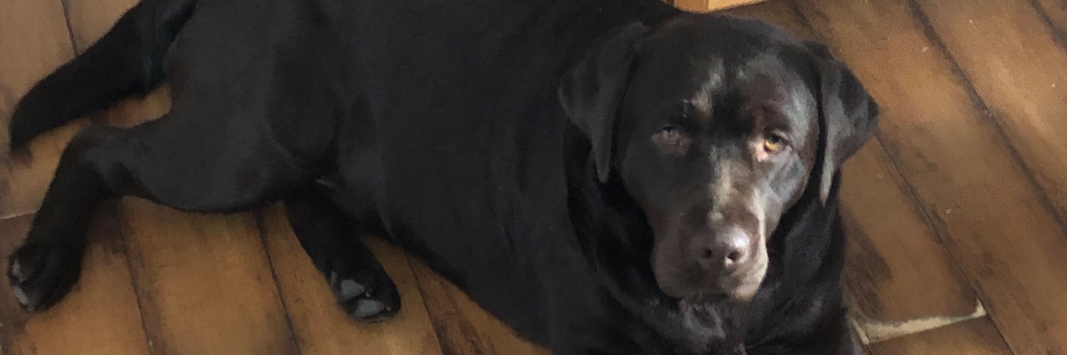 Bigseaaaaoon's profile banner image