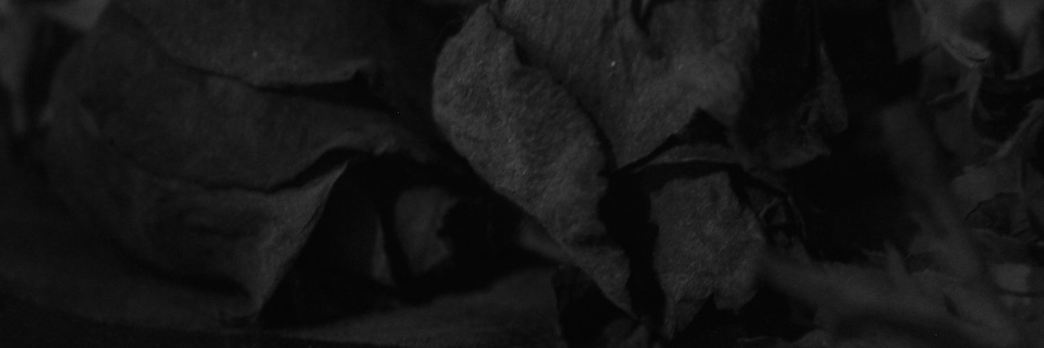 lachavasad's profile banner image
